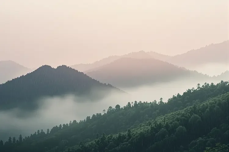 雨润山青 - 伊人在线视频专题合集
